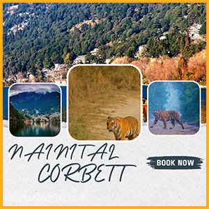 nainital-corbett-outstation-taxi-delhi